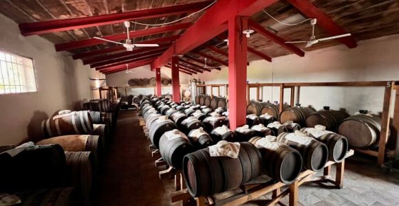 acetaia bonacini: botti di aceto balsamico tradizionale di modena