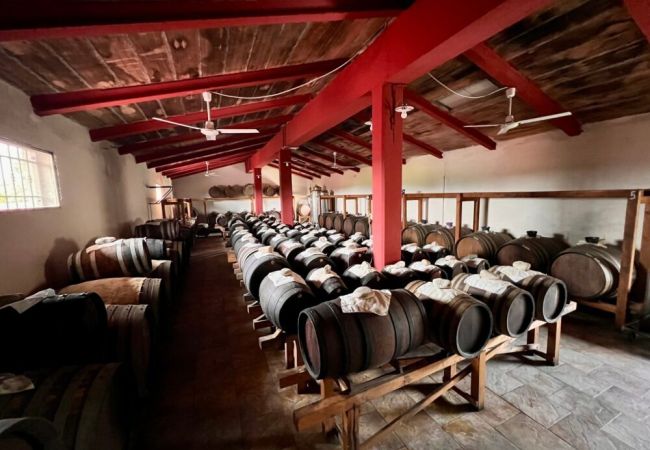 acetaia bonacini: botti di aceto balsamico tradizionale di modena